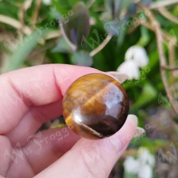 IMG_20250315_165849 Tiger's Eye Handle (for Wax Seal Stamps)