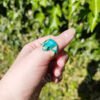 Frog Enamel Cuff Ring - Turquoise